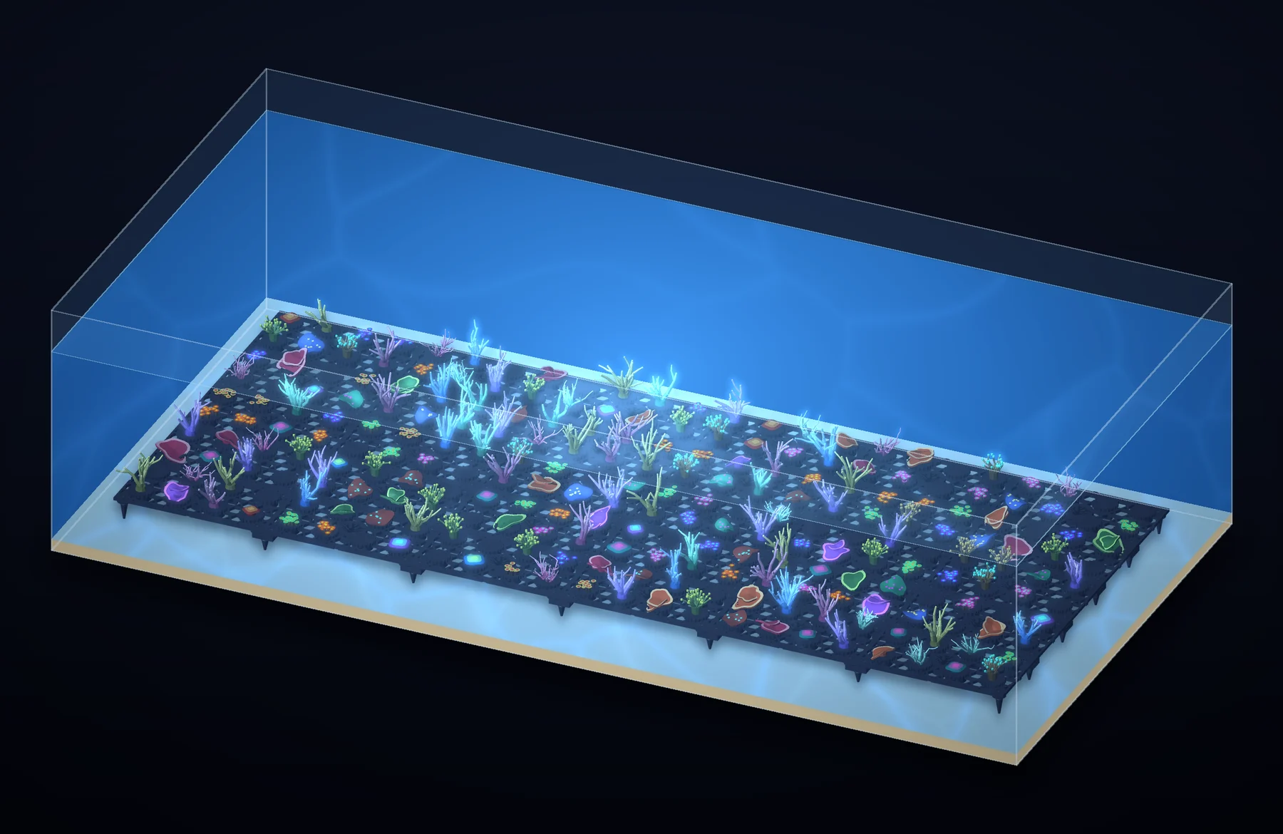 Thirty AquaVoxel plates joined into one rack and stocked with frags in a large shallow frag tank
