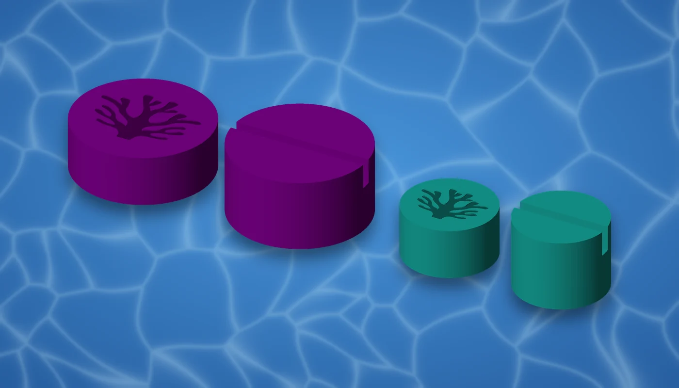 AquaVoxel magnetic mounts: large and Nano, inner and outer holders