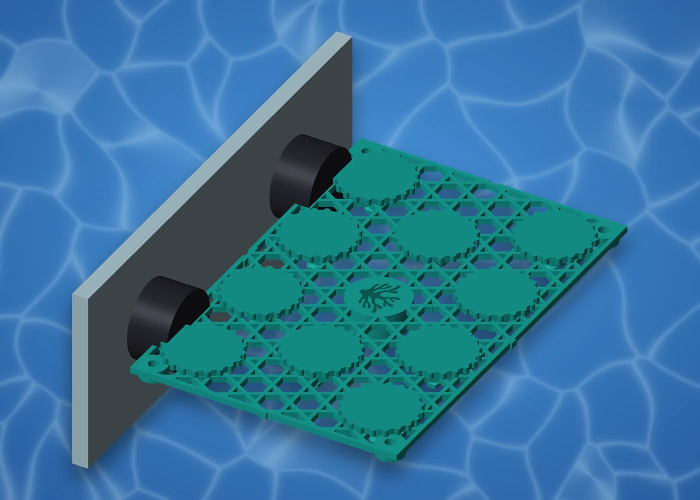 AquaVoxel plate held on the aquarium glass by magnetic mounts